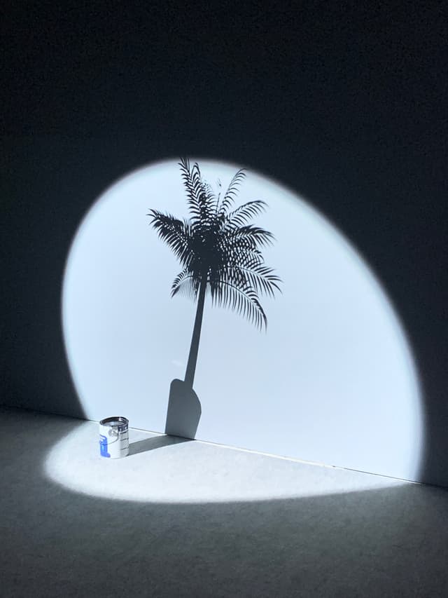 Crazy Buda and Pest museum